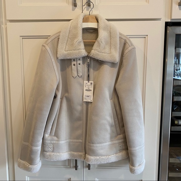 Zara Other - Zara Faux Suede Fur Coat